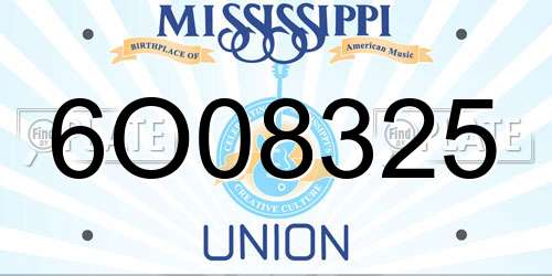 6O08325 Mississippi License Plate