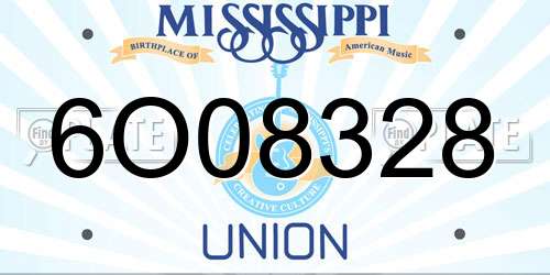 6O08328 Mississippi License Plate