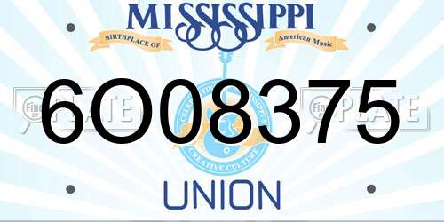 6O08375 Mississippi License Plate