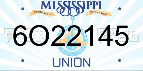 6O22145 Mississippi License Plate