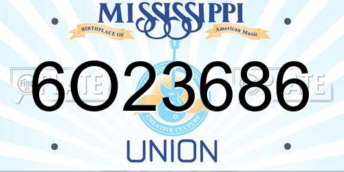 6O23686 Mississippi License Plate