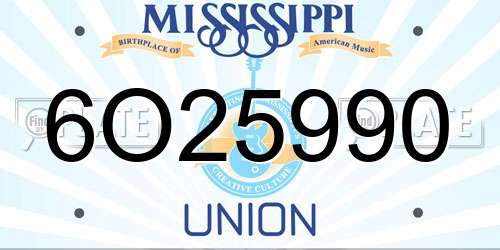 6O25990 Mississippi License Plate