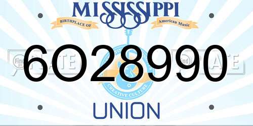 6O28990 Mississippi License Plate