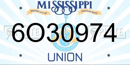 6O30974 Mississippi License Plate