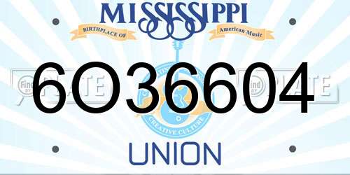 6O36604 Mississippi License Plate