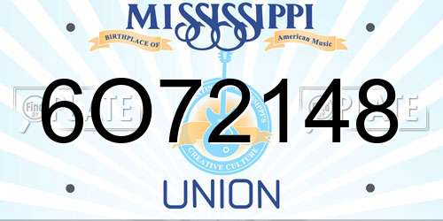 6O72148 Mississippi License Plate