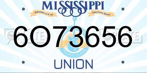 6O73656 Mississippi License Plate