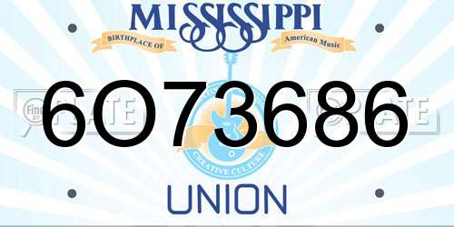 6O73686 Mississippi License Plate