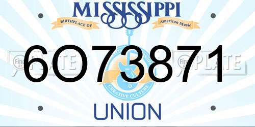 6O73871 Mississippi License Plate