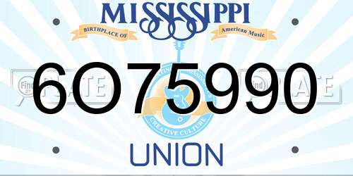 6O75990 Mississippi License Plate
