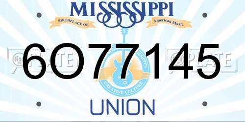 6O77145 Mississippi License Plate