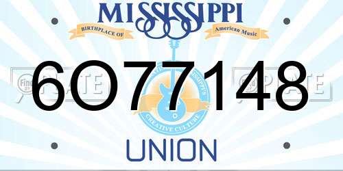 6O77148 Mississippi License Plate