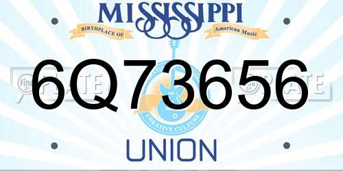 6Q73656 Mississippi License Plate