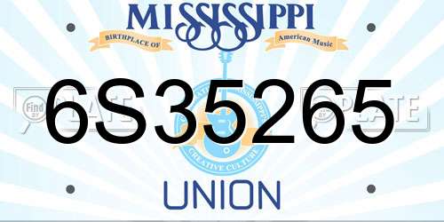 6S35265 Mississippi License Plate