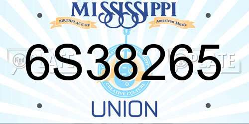 6S38265 Mississippi License Plate