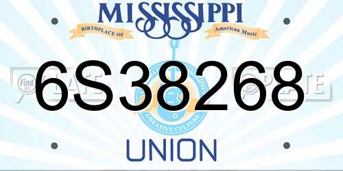6S38268 Mississippi License Plate