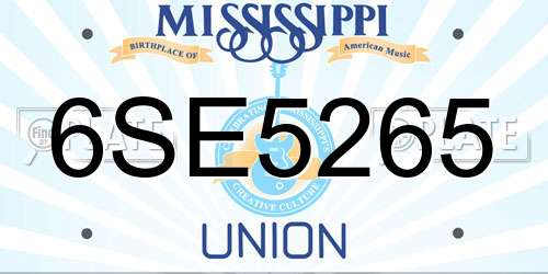 6SE5265 Mississippi License Plate