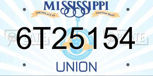 6T25154 Mississippi License Plate