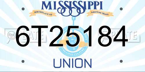 6T25184 Mississippi License Plate