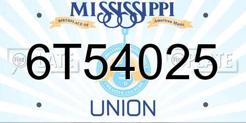 6T54025 Mississippi License Plate