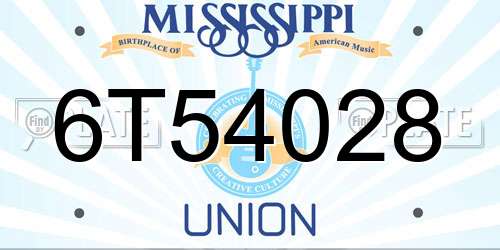 6T54028 Mississippi License Plate