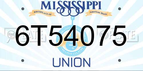 6T54075 Mississippi License Plate