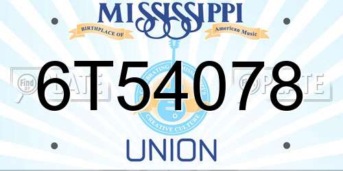 6T54078 Mississippi License Plate