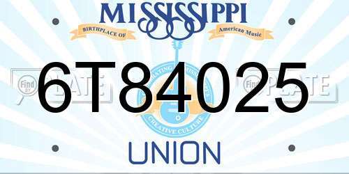 6T84025 Mississippi License Plate