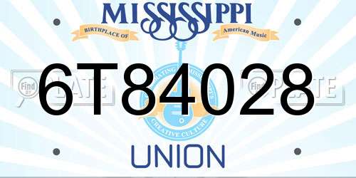 6T84028 Mississippi License Plate