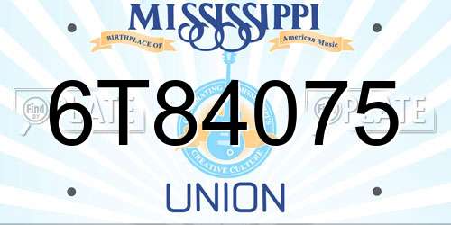 6T84075 Mississippi License Plate