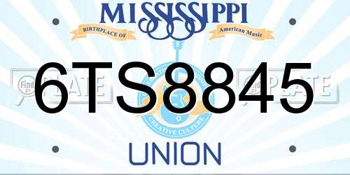 6TS8845 Mississippi License Plate