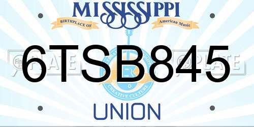 6TSB845 Mississippi License Plate