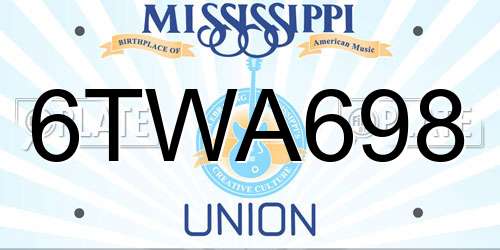 6TWA698 Mississippi License Plate