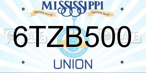 6TZB500 Mississippi License Plate