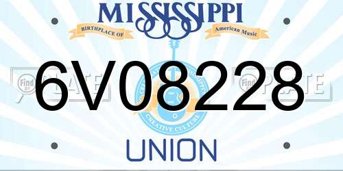 6V08228 Mississippi License Plate
