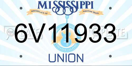 6V11933 Mississippi License Plate