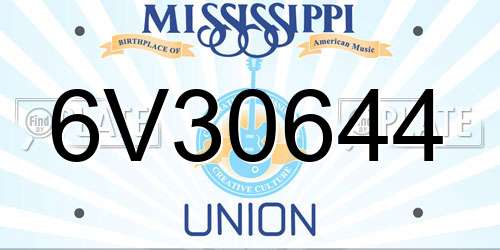 6V30644 Mississippi License Plate