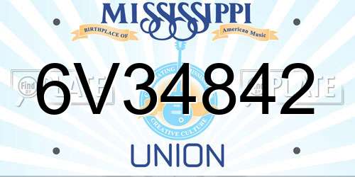 6V34842 Mississippi License Plate