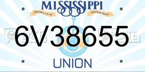 6V38655 Mississippi License Plate