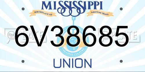 6V38685 Mississippi License Plate