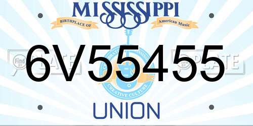 6V55455 Mississippi License Plate