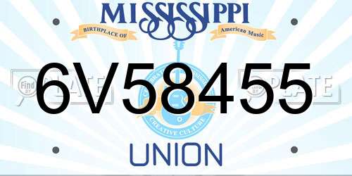 6V58455 Mississippi License Plate