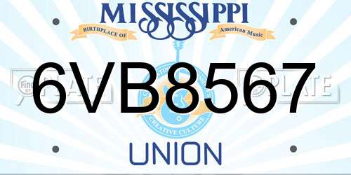 6VB8567 Mississippi License Plate