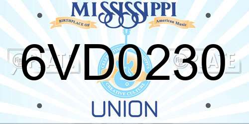 6VD0230 Mississippi License Plate