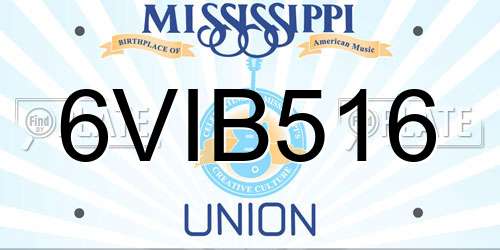 6VIB516 Mississippi License Plate