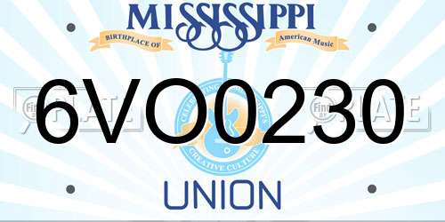 6VO0230 Mississippi License Plate