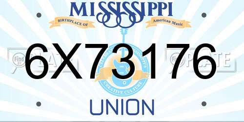 6X73176 Mississippi License Plate
