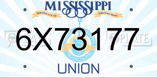 6X73177 Mississippi License Plate