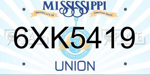 6XK5419 Mississippi License Plate