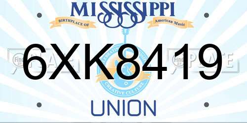 6XK8419 Mississippi License Plate